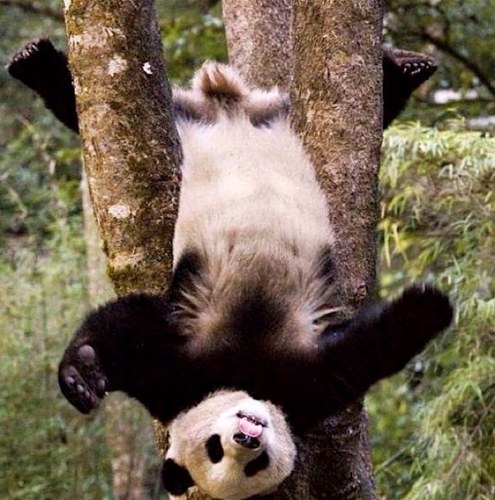 Cartenoire65's profile picture. 