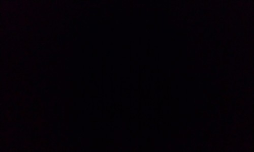 benedicteprhne's profile picture. 