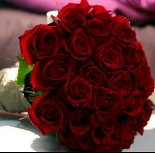 NouraNooura's profile picture. 