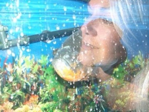 SCobb1's profile picture. 