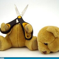 Teddy Bear Suicide (@biggym) 's Twitter Profile