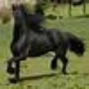 betty plummer - @bettyplummer - Twitter