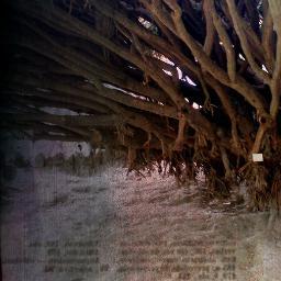 TheDarkLetter's profile picture. Las mejores frases para los momentos mas importantes, tu lo piensas nosotros lo escribimos. #quotes #frases #musicquotes