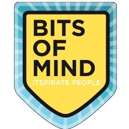 IT topprofessionals die Nederland nodig heeft om succesvol te blijven! We creëren waarde waar IT en business elkaar ontmoeten! 
Blink uit. Word BitsofMind.