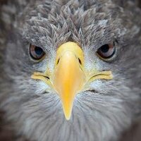 Wall Tr (@w_accionplanet) 's Twitter Profile Photo Wall Tr (@w_accionplanet) 's Twitter Profile Photo