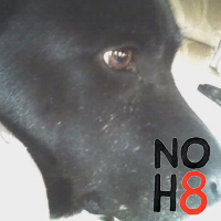 Hogs88's profile picture. 