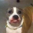 jeremy mccray - @jermtheworm - Twitter