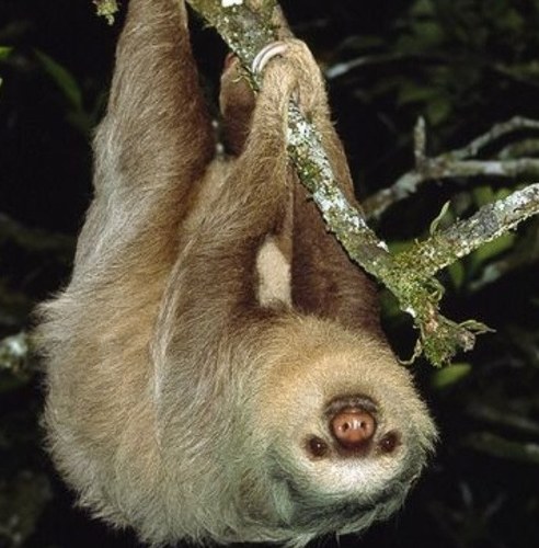 ljh123's profile picture. 