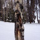 Sidney Holcomb - @HolcombSidney - Twitter