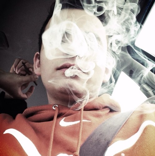 Spread the word about our account. We are just trying to consostantly provide you with the best weed tweets/pics. Smoke on.