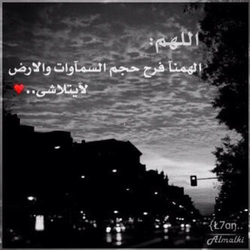 ptech31's profile picture. 