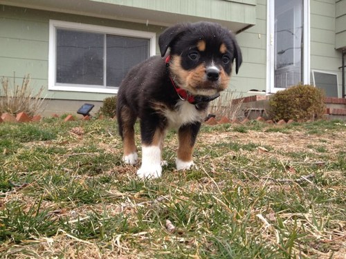 ETFARRUGGIA's profile picture. 