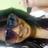 _ruthsiilva's profile image