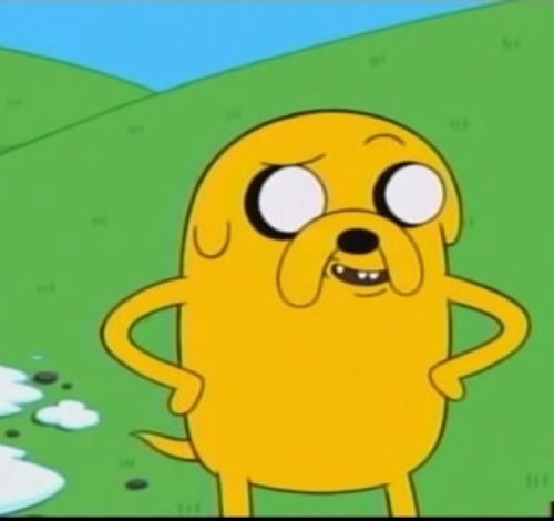 rex_mil77's profile picture. 