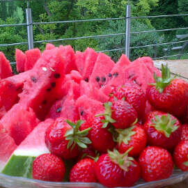 rfnm2008's profile picture. 