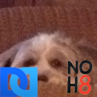 barb_layne's profile picture. 