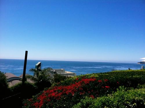 Pt888Pamela's profile picture. 