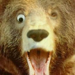 HowWeGotAnts's profile picture. A twitter for no good reason. #cancersucks