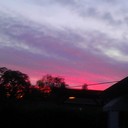 jamey thomas - @jameyraythomas - Twitter