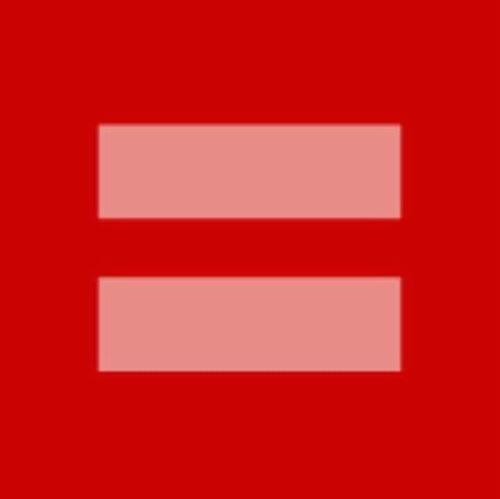 Equal Marriages is dedicated to spreading marriage equality & equal rights for the LGBTQ community & all! Follow & Like Our Fanpage! #PositiveRipples