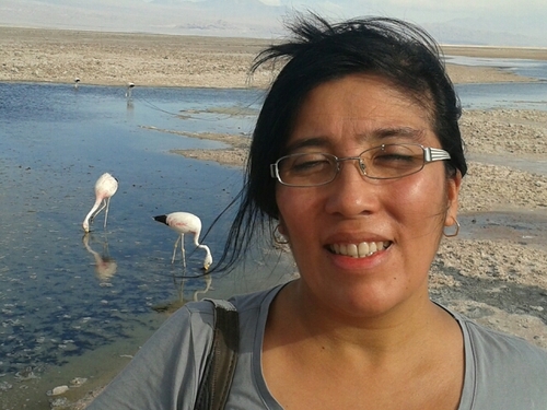 lpcerda's profile picture. 