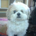 jackson pollack - @jacksonpollac11 - Twitter