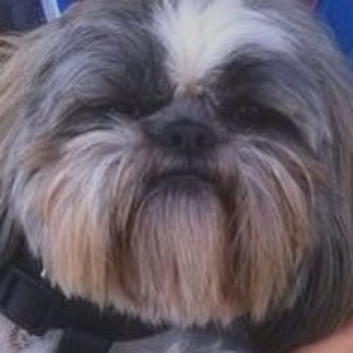 MJUnconditional's profile picture. 