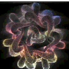 alinstegar's profile picture. Burning & Looting