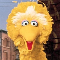 lauratoomey33's profile picture. I love Louie, Little Larry, & Lucky! GO ARMY BASKETBALL! #33 on the court #1 in my heart!