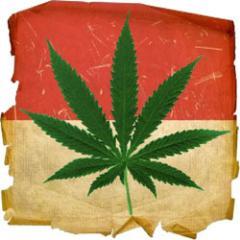 Menghisap ganja tidak menyebabkan kecanduan,
tapi mempelajari apa yang bisa dihasilkan dari ganja
AKAN MENYEBABKAN KECANDUAN