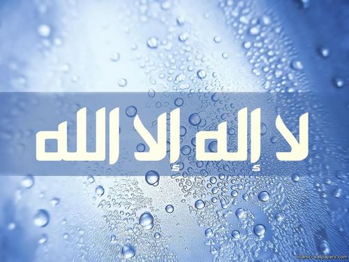 ‏صدقة جاريه لحصه إبراهيم الحميد ، نسأل الله أن يرزقها أعلى مراتب الجنان ويجمعنا بها في مستقر رحمته .