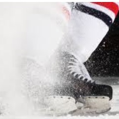 Talk Hockey To Me. 
I Follow Back.