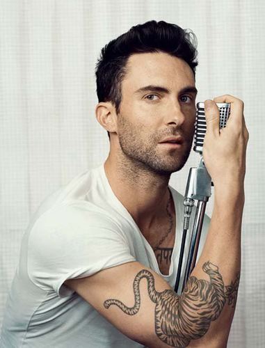 Huge Maroon5 and Adam Levine Fan!!