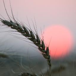 MGasswint's profile picture. 