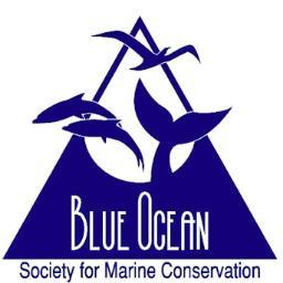 Blue Ocean Society Profile