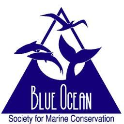 Protecting marine life in the Gulf of Maine through research, education and inspiring action. Based in Portsmouth, NH.