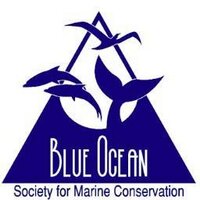 Blue Ocean Society (@blueoceansoc) 's Twitter Profile