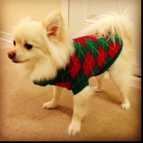 fujisensai's profile picture. Digital Media Marketer, follow mobile industry, digital hollywood, gaming world, Canadian broadcast affairs and digital startups. My tweets are my opinion.