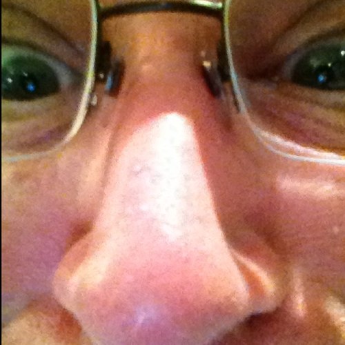 pigschnout's profile picture. 