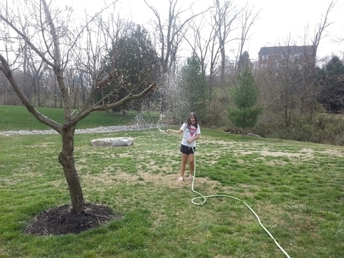 tara4757645's profile picture. I dance at Music City Allstars    Dont try to make me say a joke im terrible at it....    Tweeting from Tennesee