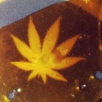 ExtraccionesBHO (@extraccionesbho) 's Twitter Profile