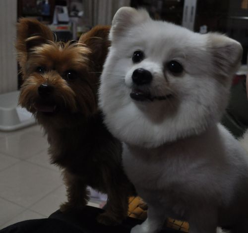 whli2440's profile picture. 