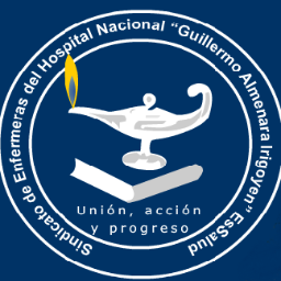 Sindicato de Enfermeras del Hospital Nacional Guillermo Almenara Irigoyen - EsSalud