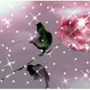 Claudia Monroy - @clau69_monroy - Twitter