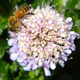 Anniemac21_'s profile picture. 