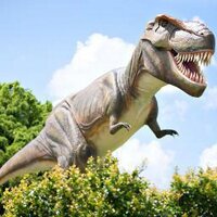 Palmer Coolum Resort (@palmercoolum) 's Twitter Profile