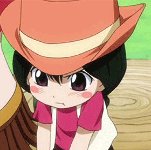 Hooray! Hooray! Fairy Tail!