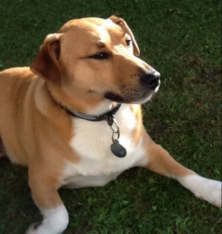 PatLawsonDavies's profile picture. 