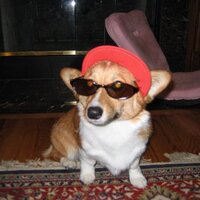 Alex Reidinger (@alexreidinger) 's Twitter Profile