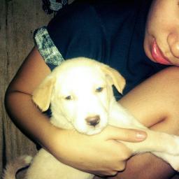 princeshellamay's profile picture. IDOL @iansomerhalder .. I want to know what's happening to you every minute of everyday! Err. :))) That's why I made an account here! Haha! ^__^